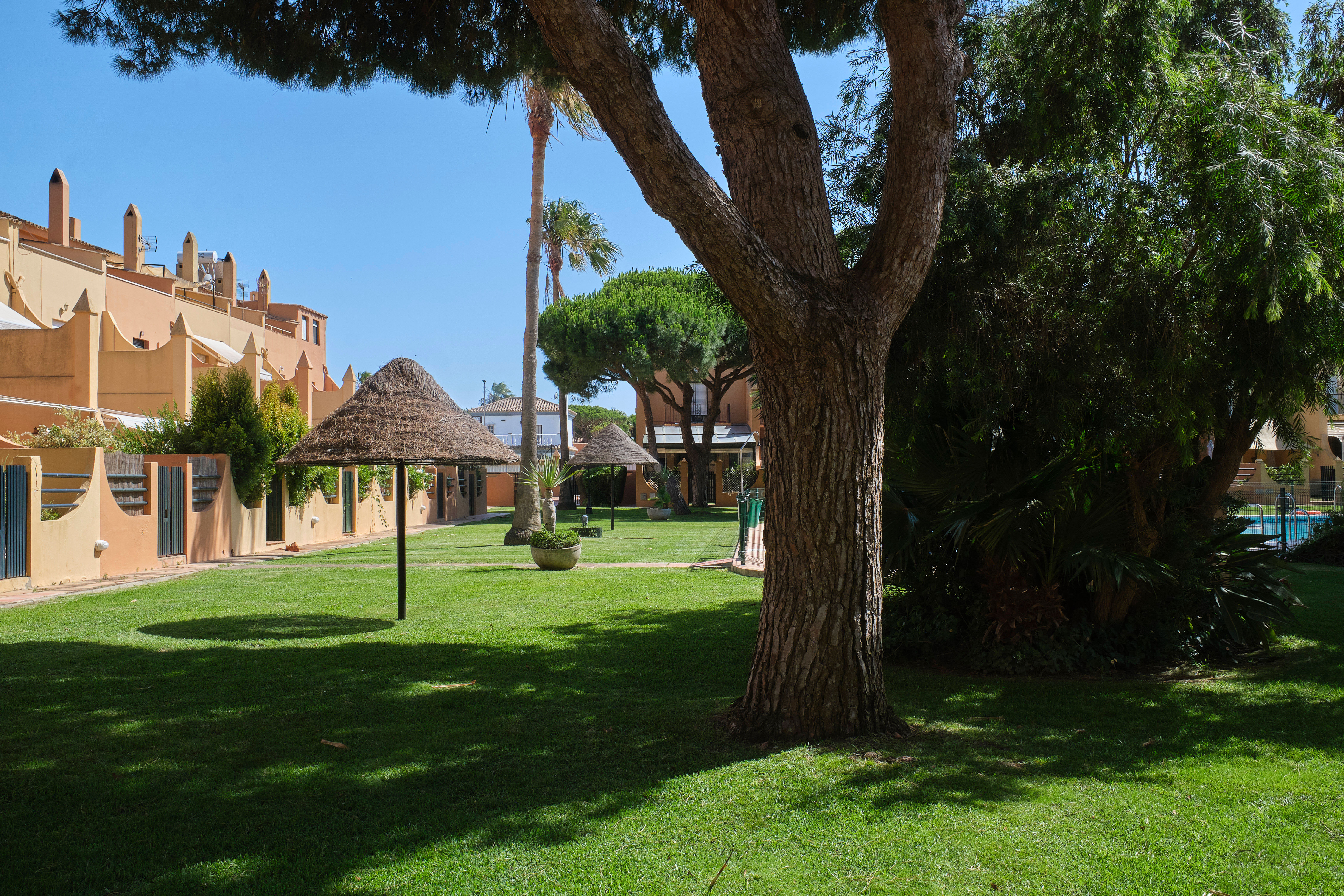 Jardines del complejo