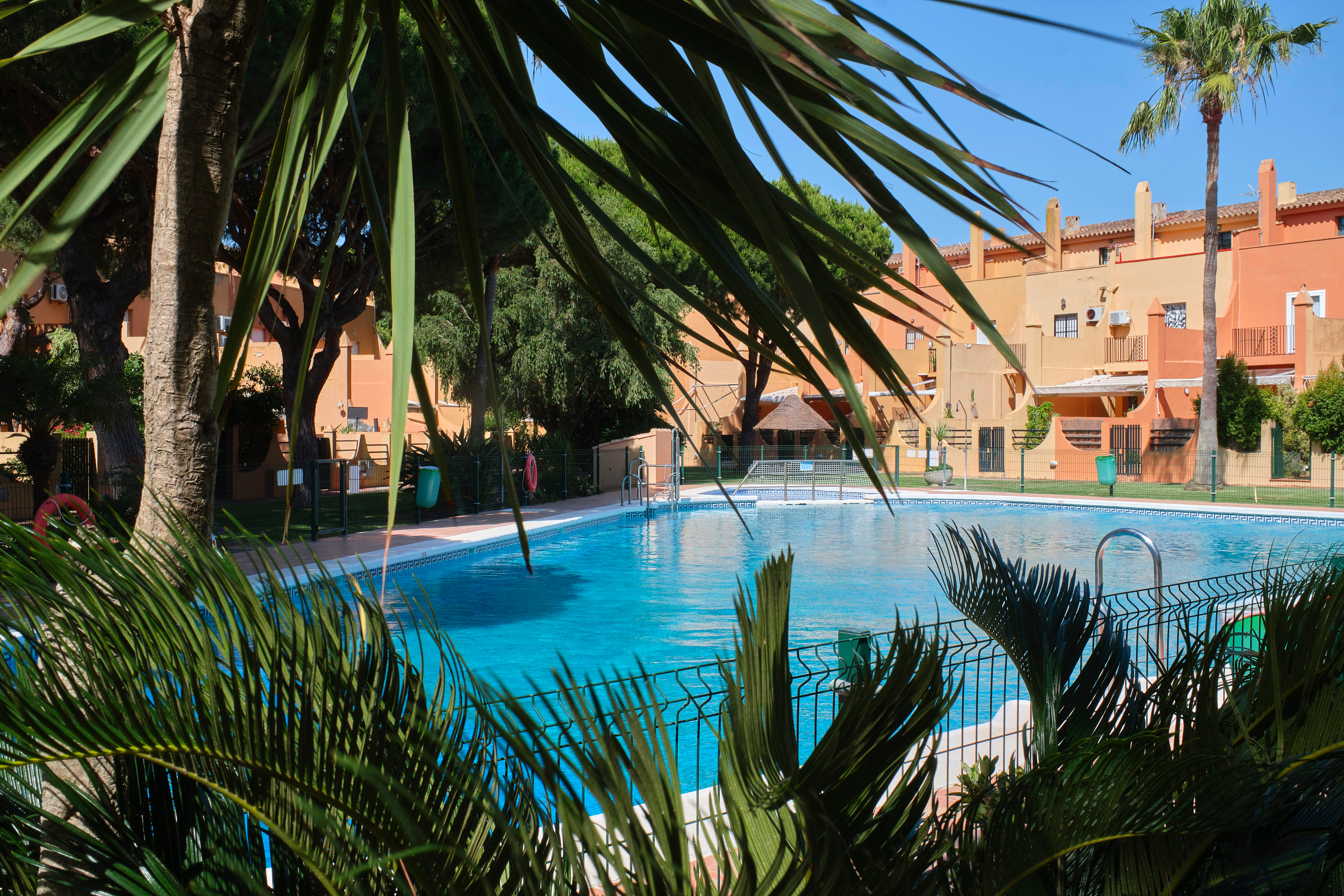 Piscina con palmeras
